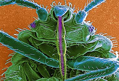 生存冒险游戏《命运之前》上线Steam 将于2023年正式推出